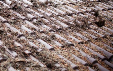 Elstow roof cleaning companies